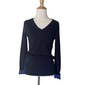 Banana Republic Merino Wool V Neck Sweater